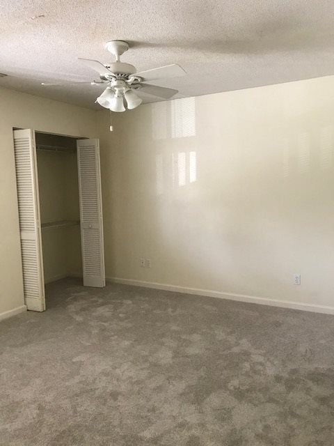 Gallery Photo 5